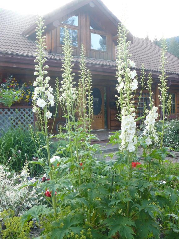 Hitching Post Resort Kelowna Quarto foto